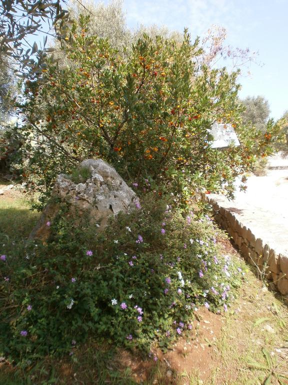 Trullo Villa Giuliana Con Giardino Posizione Panoramica Free Wifi Ostuni Dış mekan fotoğraf