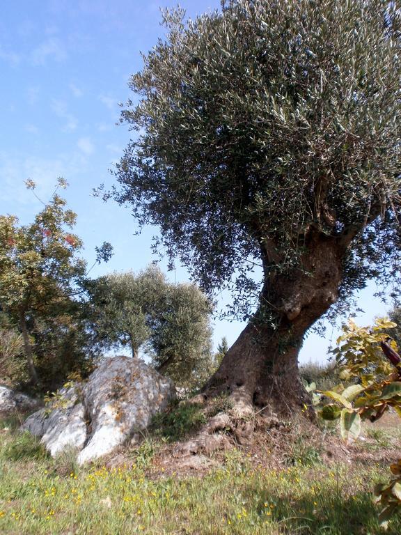 Trullo Villa Giuliana Con Giardino Posizione Panoramica Free Wifi Ostuni Dış mekan fotoğraf