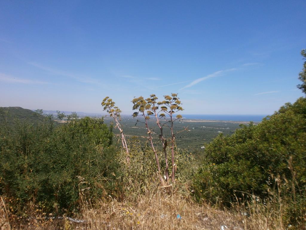 Trullo Villa Giuliana Con Giardino Posizione Panoramica Free Wifi Ostuni Oda fotoğraf