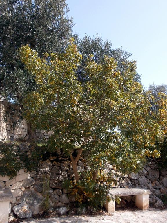 Trullo Villa Giuliana Con Giardino Posizione Panoramica Free Wifi Ostuni Oda fotoğraf